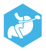 Revision bariatric surgery icon